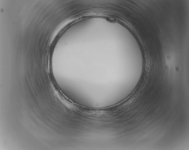 X0000051911131200507082023