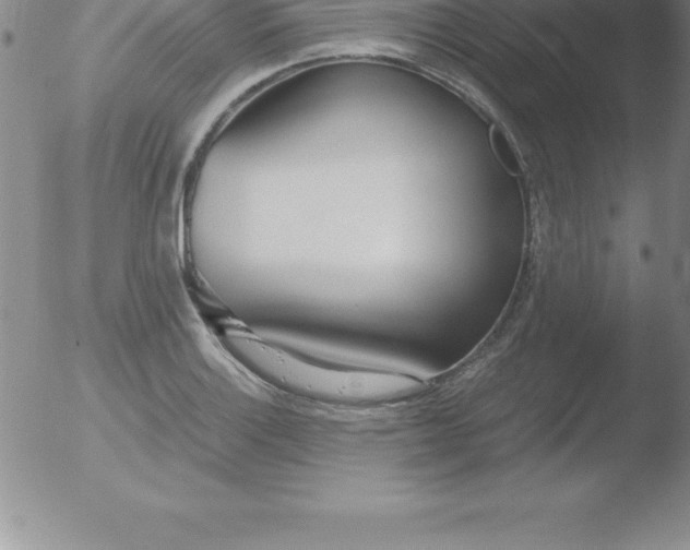 X0000051911132200507082023