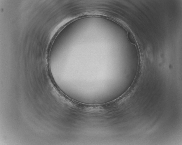 X0000051911133200507082023