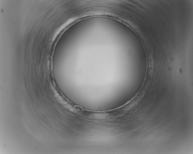 X0000051911134200507082023