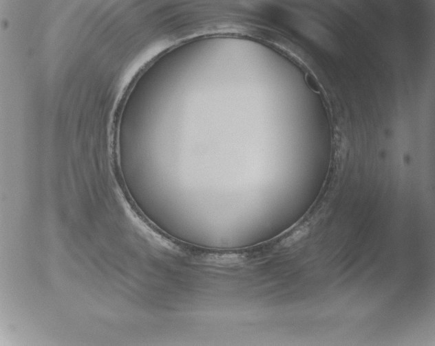 X0000051911135200507082023