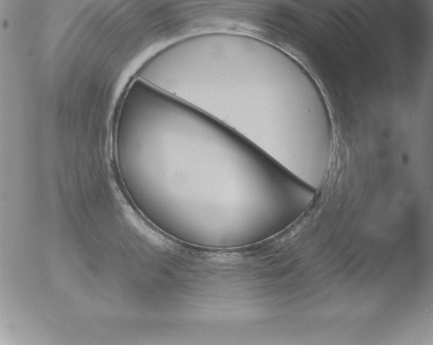 X0000051911136200507082023