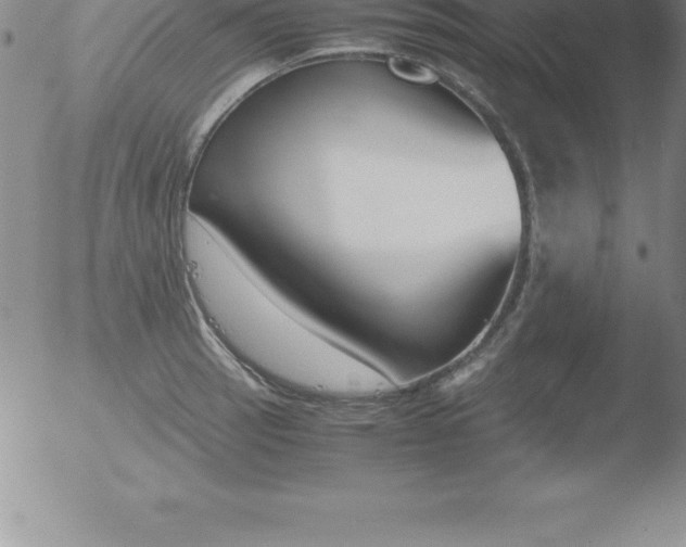 X0000051911137200507082023