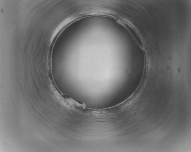 X0000051911138200507082023