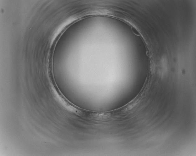 X0000051911139200507082023