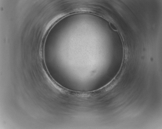 X0000051911141200507082023