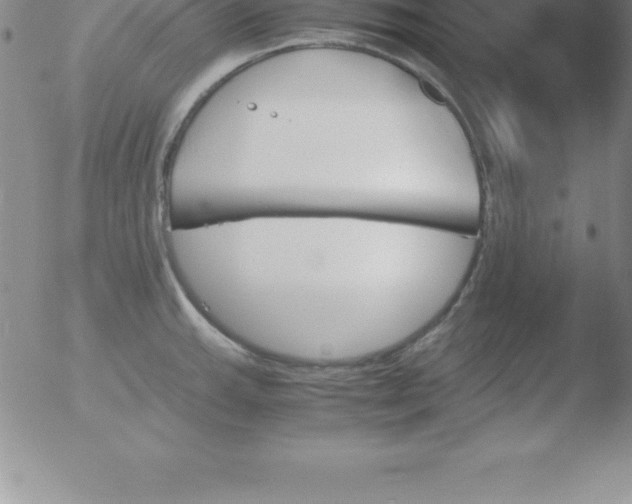 X0000051911143200507082023