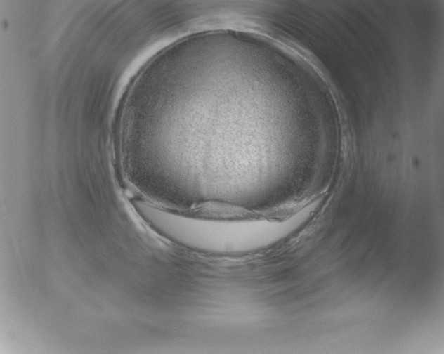 X0000051911144200507082023