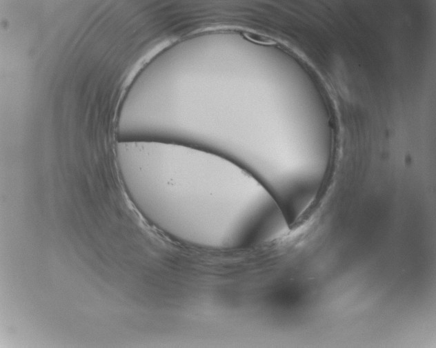 X0000051911145200507082023