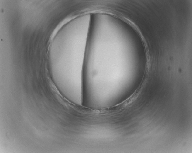 X0000051911146200507082023