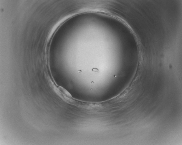 X0000051911148200507082023