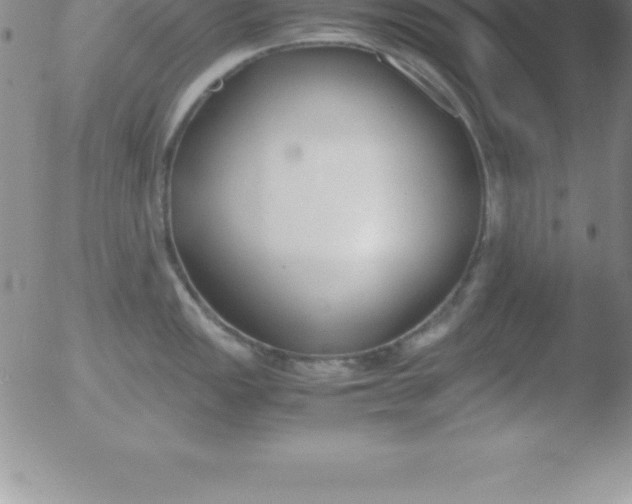 X0000051911149200507082023