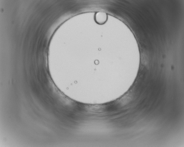 X0000051911150200507082023