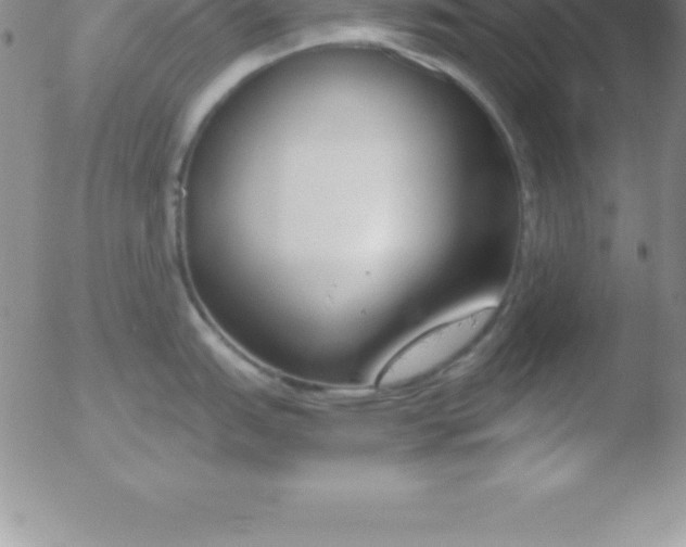 X0000051911151200507082023