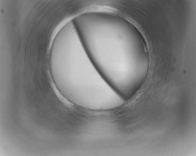 X0000051911152200507082023