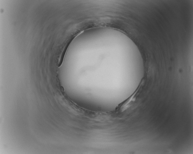 X0000051911153200507082022