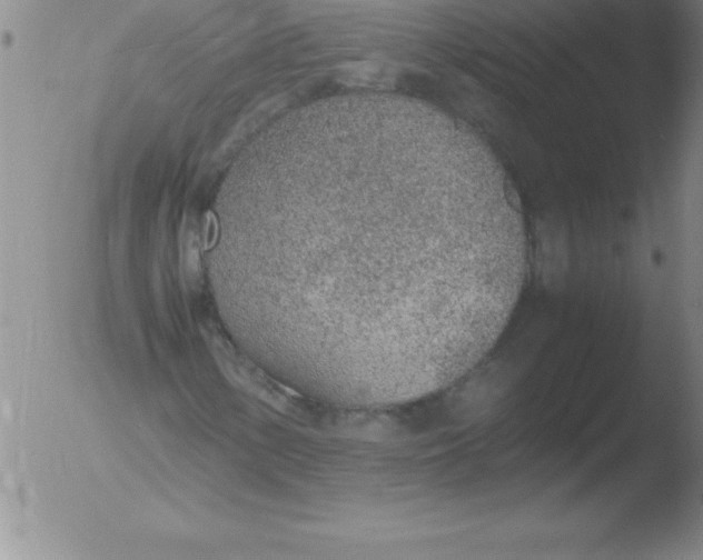 X0000051911154200507082022