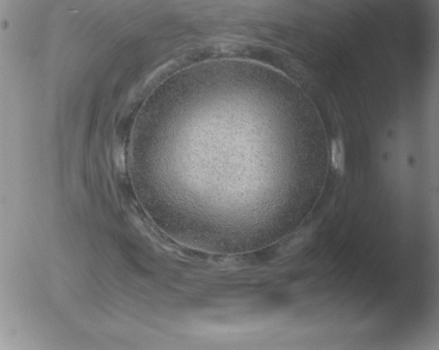 X0000051911155200507082022