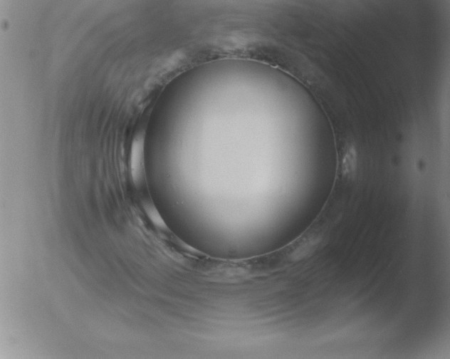 X0000051911156200507082022