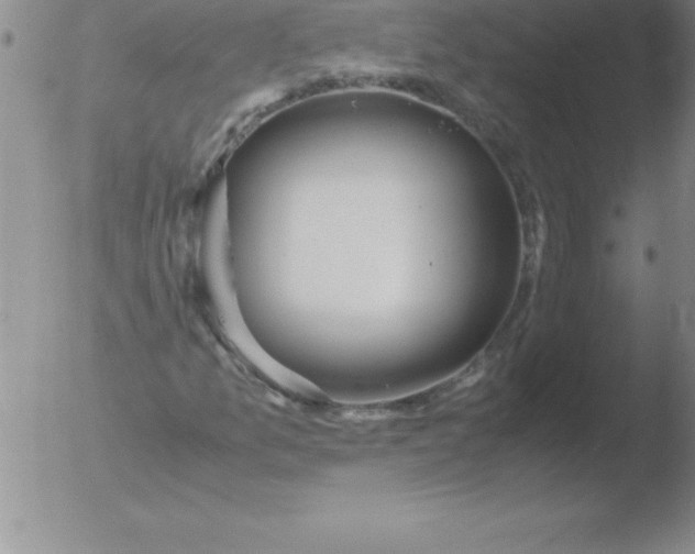 X0000051911157200507082022