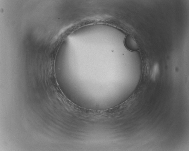 X0000051911158200507082022