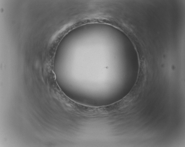 X0000051911159200507082022