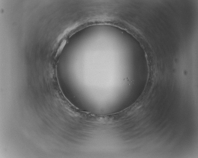 X0000051911160200507082022