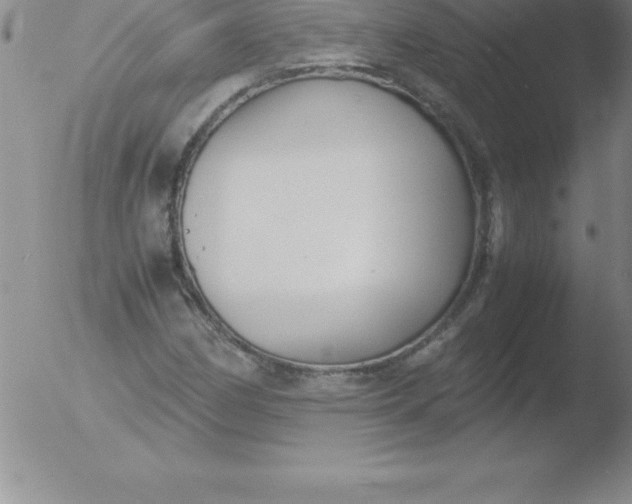 X0000051911162200507082022