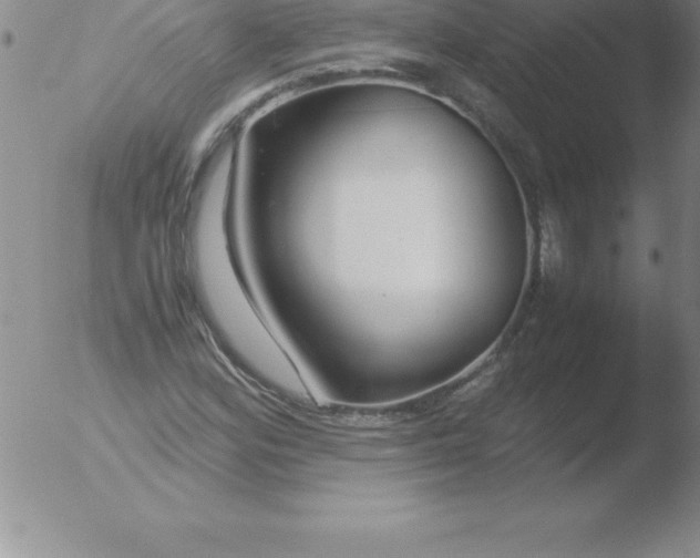 X0000051911164200507082022