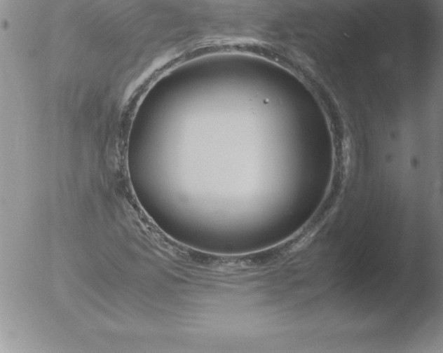 X0000051911165200507082022