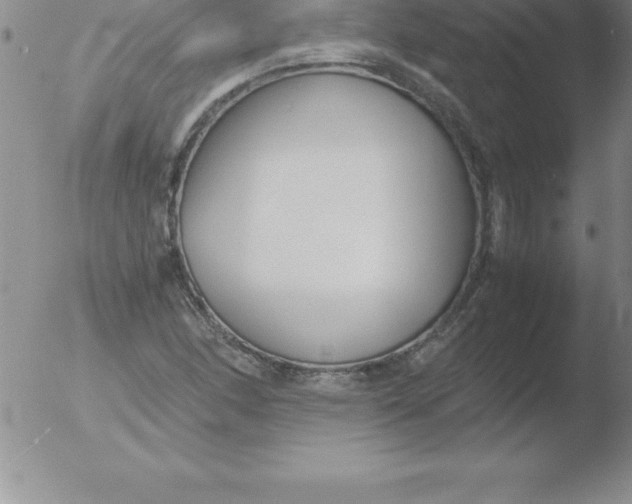 X0000051911166200507082022