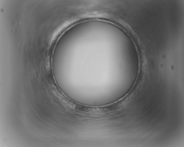 X0000051911167200507082022