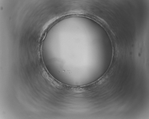 X0000051911168200507082022