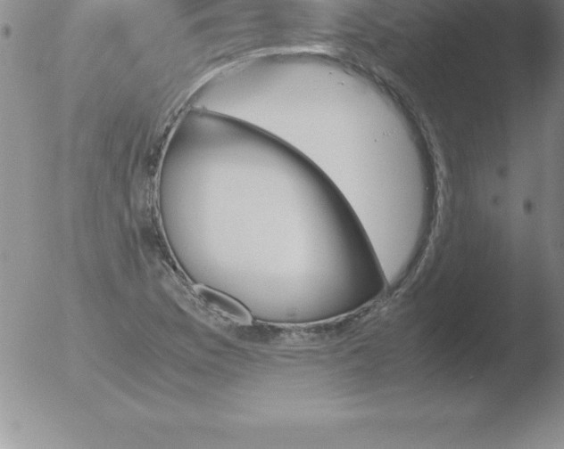 X0000051911169200507082022