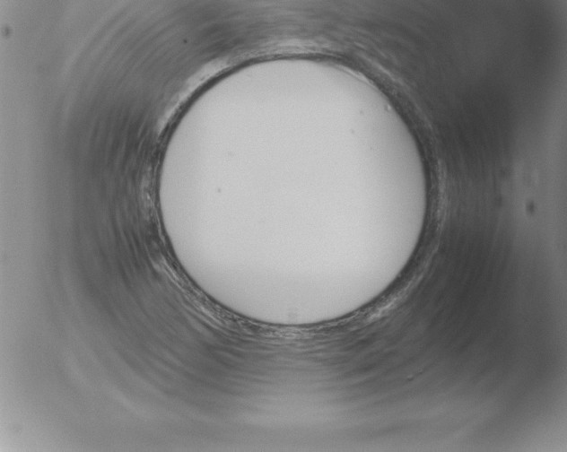 X0000051911170200507082022