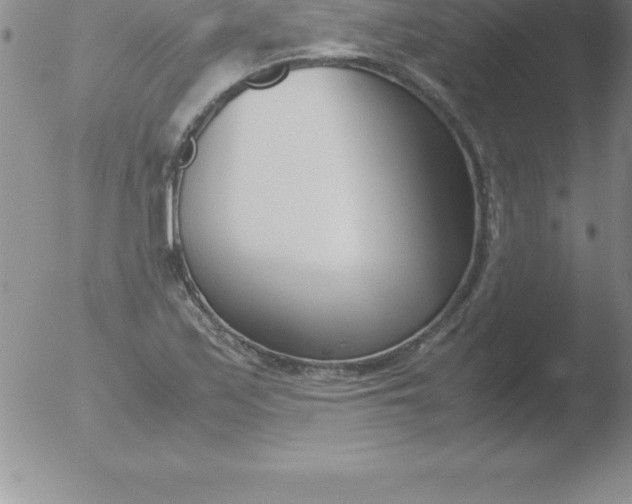 X0000051911171200507082022