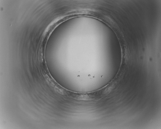 X0000051911172200507082022