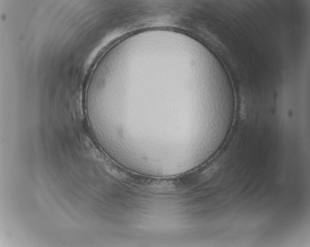 X0000051911174200507082022