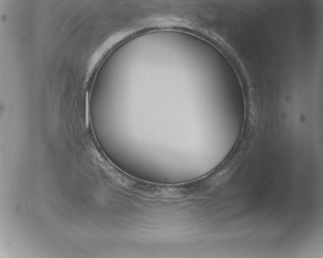 X0000051911175200507082022