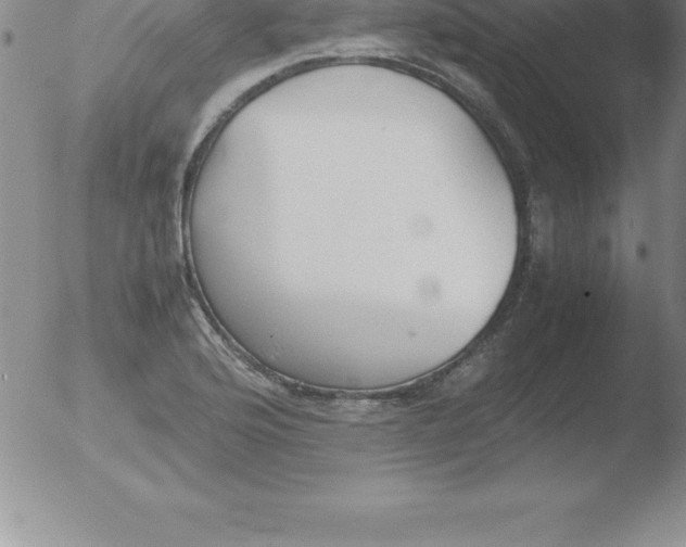 X0000051911176200507082022