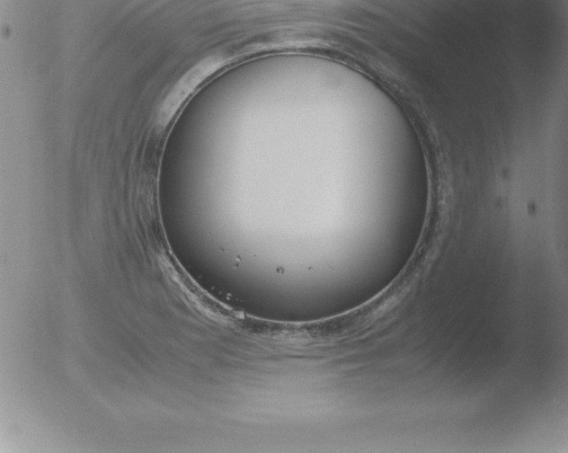 X0000051911177200507082022