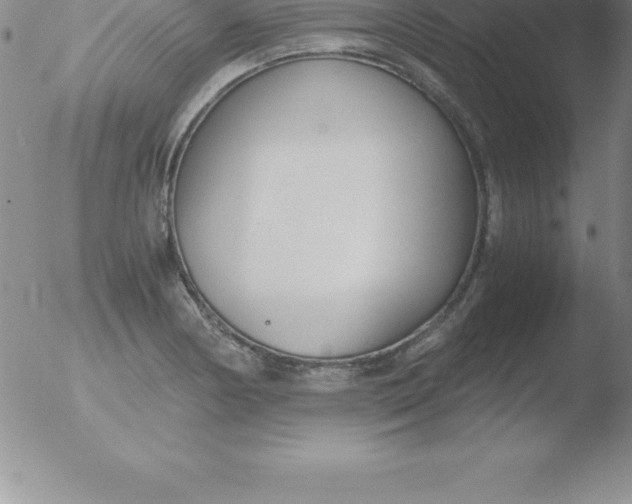 X0000051911178200507082022