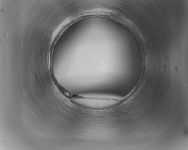 X0000051911180200507082022