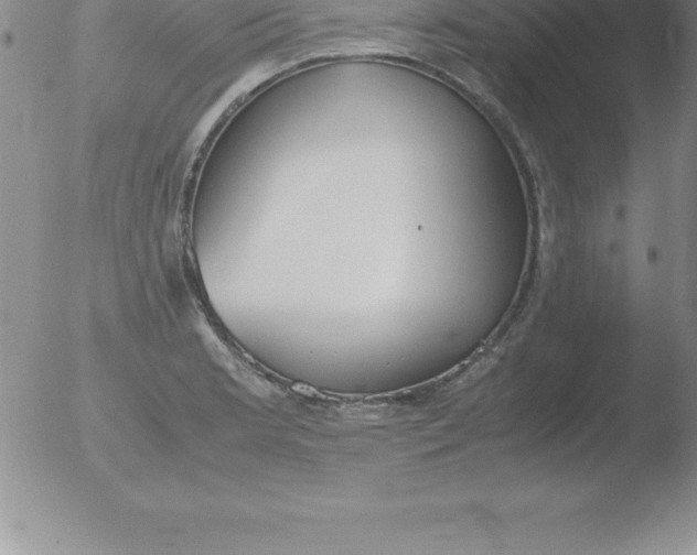 X0000051911181200507082022