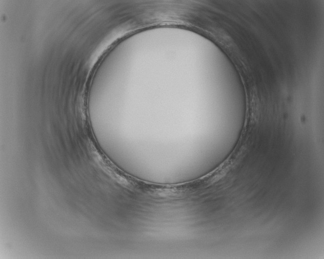 X0000051911182200507082022