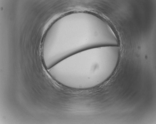 X0000051911183200507082022