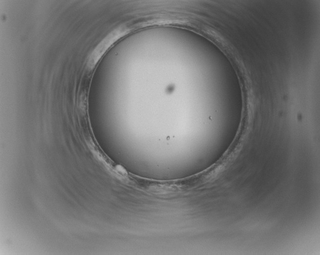 X0000051911185200507082022