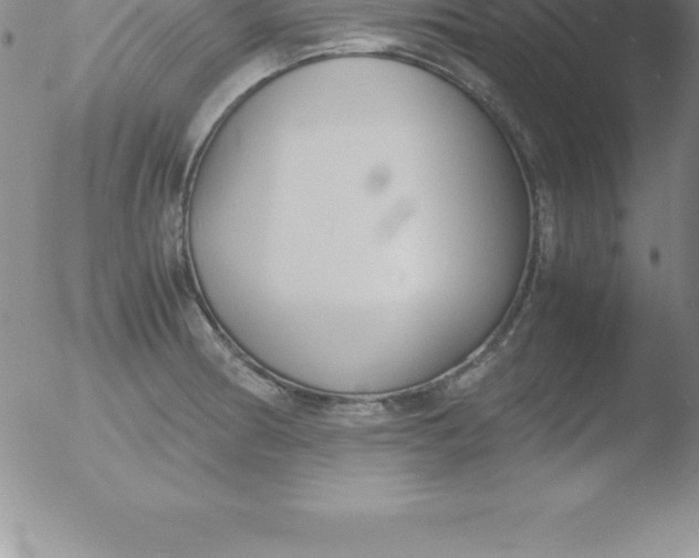 X0000051911186200507082022