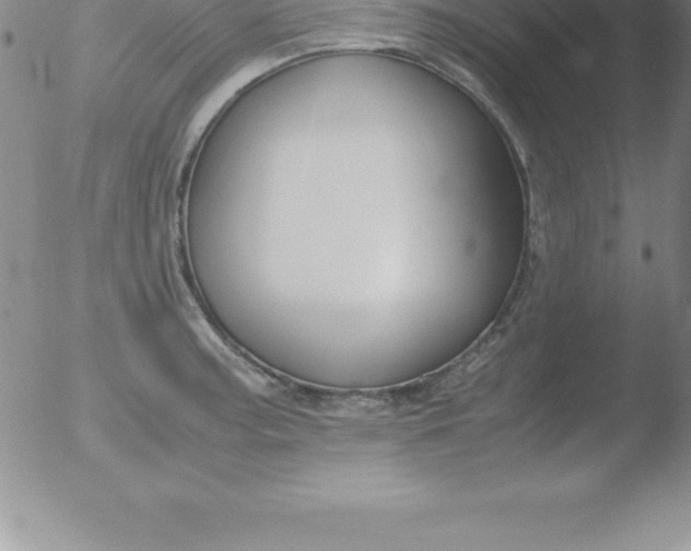 X0000051911187200507082022