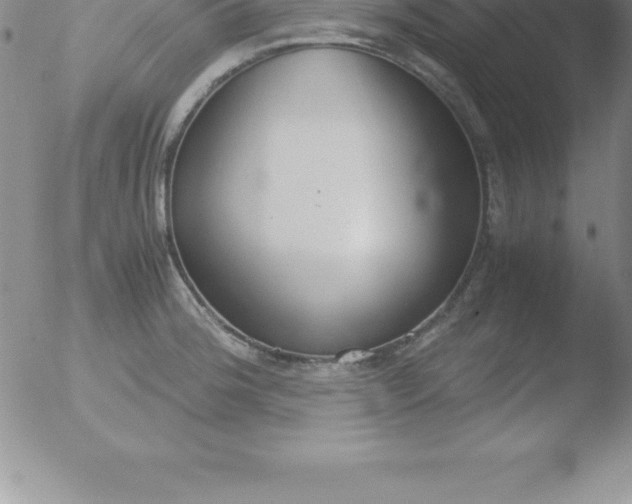 X0000051911188200507082022